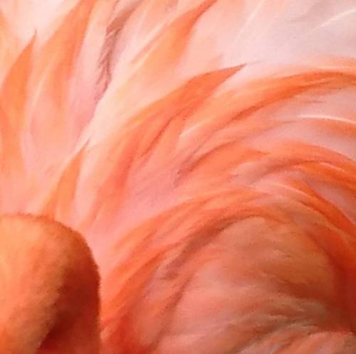 Rahanni Hands on Healing  