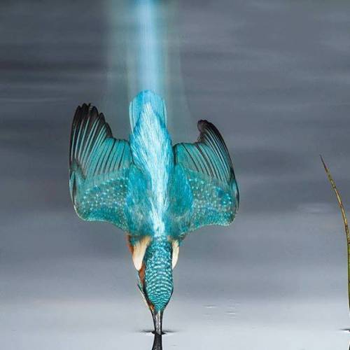 Vocal Activation / Support 